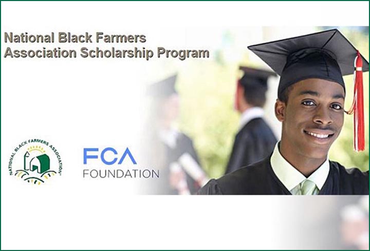 NBFA Scholarship